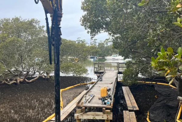 Huskisson Mangrove Boardwalk 14 - Wagners