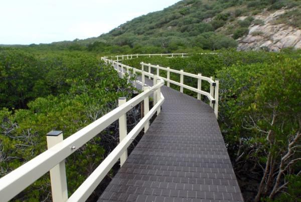 Lizard Finished Works - Wagners