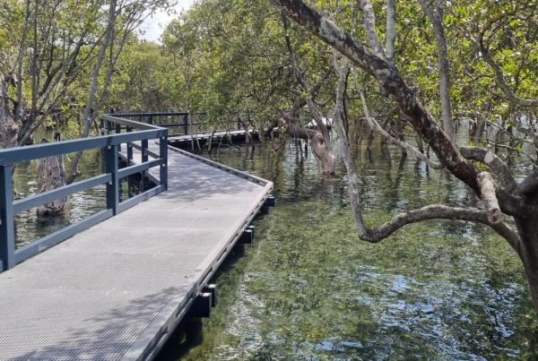 Resized Site Inspection - Wagners