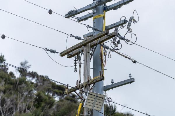 Kawau Island 10