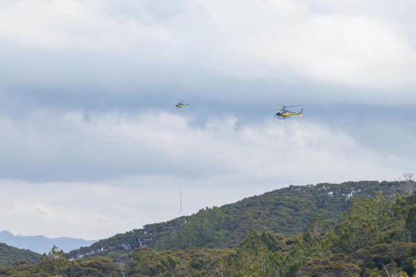 Kawau Island 3